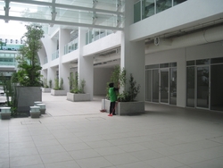 Img_2107_thumb