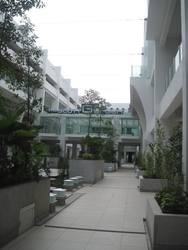 Img_2108_thumb
